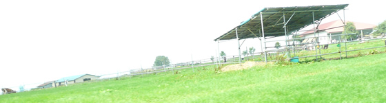 メインイメージ